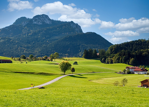 Picturesque green alpine meadow surrounded by mountain peaks. Green alpine pasture. Loser and Altaussee lake with Dachstein plateau on the background. Austrian landscape