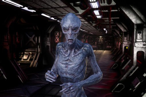 Portrait of an alien extraterrestrail creature with blue grey skin standing in a dark space ship corridor. 3D illustration.