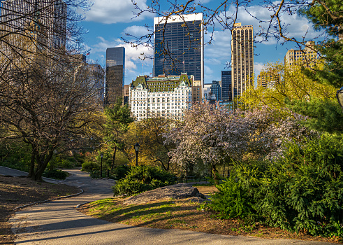 Plaza hotel on he edge of Central Park, New York City, with view from Central Park