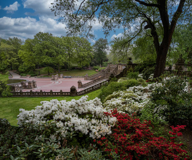 istock Bethesda Terrace and Fountain 1409446595