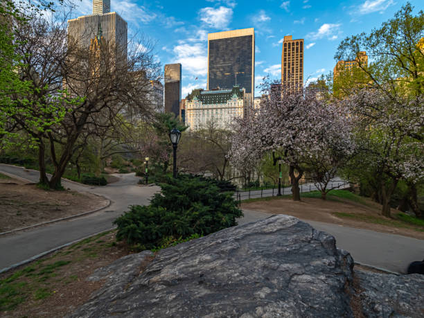 istock Plaza Hotel in early morning view from Central Park 1409446621
