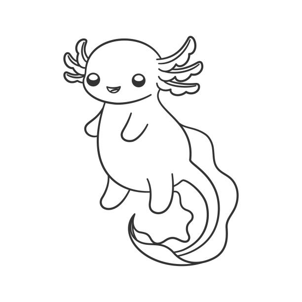 Ilustración de Feliz Ajolote Esquema Línea Arte Dibujos Animados Ilustración Vectorial Lindo Diseño De Animales Acuáticos Submarinos Actividad Fácil Y Sencilla Para Colorear Páginas De Libros Para Niños y más Vectores Libres Ilustración de Feliz Ajolote Esquema Línea Arte Dibujos Animados Ilustración Vectorial Lindo Diseño De Animales Acuáticos Submarinos Actividad Fácil Y Sencilla Para Colorear Páginas De Libros Para Niños y más Vectores Libres