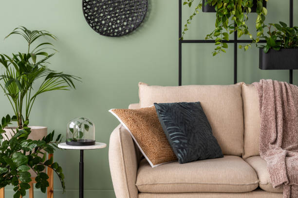 istock The creative composition at living room interior with design beige sofa, black coffee table, plants and elegant personal accessories. Brown pillow and plaid. Green wall. Template. 1409447244