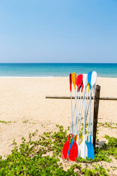 istock Colorful oars with beach background, water sport 1409448922