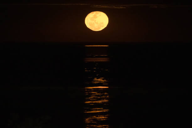 beautiful image of staircase to the moon in broome, western australia - cable imagens e fotografias de stock