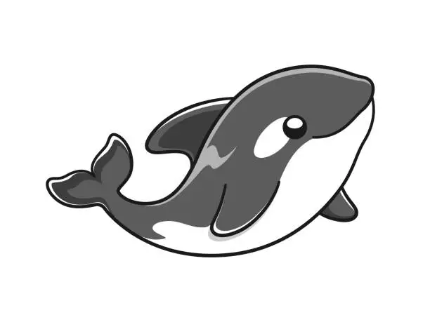 Vector illustration of Cute Orca whale vector illustration. Killer whale cartoon clipart.