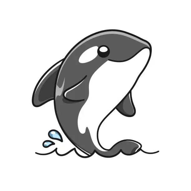 Vector illustration of Cute Orca whale vector illustration. Killer whale cartoon clipart.