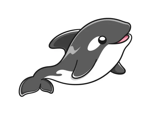 Vector illustration of Cute Orca whale vector illustration. Killer whale cartoon clipart.