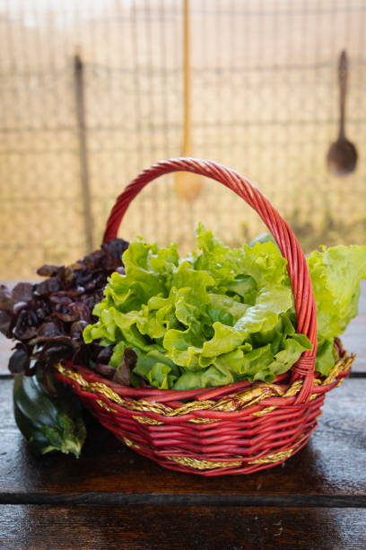istock Healthy diet based on fruit, vegetables and water. Fruit and vegetables freshly picked from the garden. Balanced and healthy diet. 1409458742
