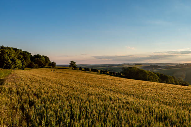 istock A Rural Sussex View on a Sunny Summer's Evening 1409459567