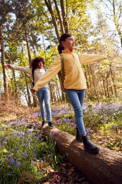 istock Two Children Walking Through Bluebell Woods In Springtime Balancing On Log 1409461581