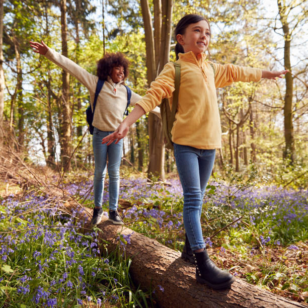 istock Two Children Walking Through Bluebell Woods In Springtime Balancing On Log 1409461616