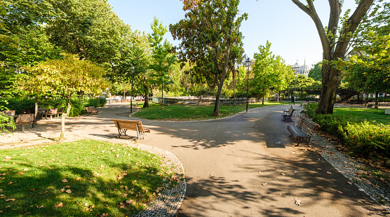 Beautiful panorama of green city park at dawn