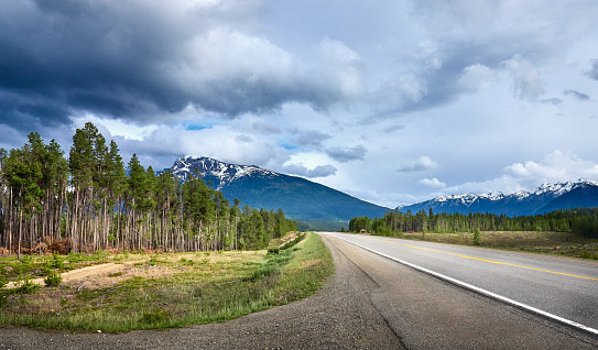 Road in the Canadian Rockies. Cedarside Regional Park. Yellowhead Highway, British Columbia, Canada