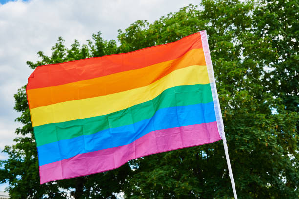 istock LGBTQ rainbow flags on pride demonstration 1409465836