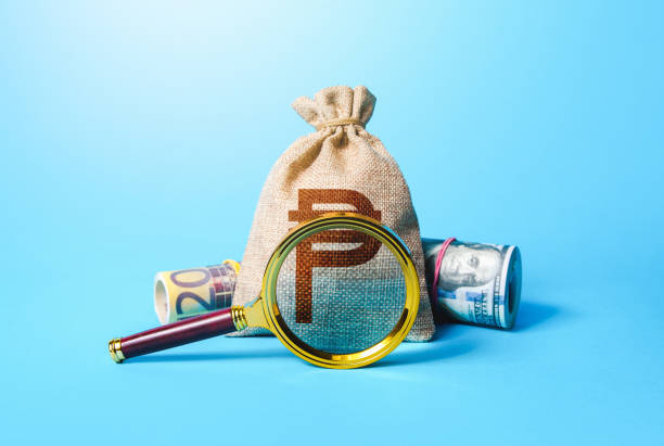 istock Indian rupee money bag and magnifying glass. Investigating capit 1409472187