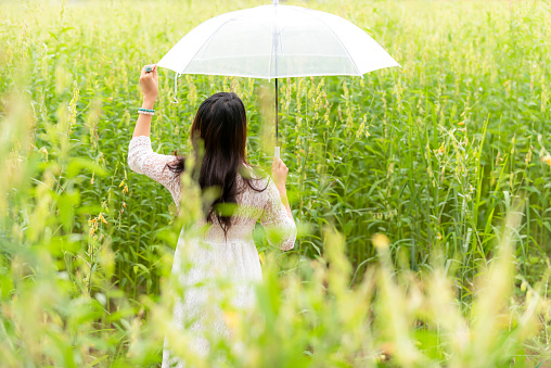 Happy asian woman lifestyle hand holding umbrella in the meadow yellow flower sunrise.  Active Outdoor Relax and enjoy in Nature.  Lifestyle Concept