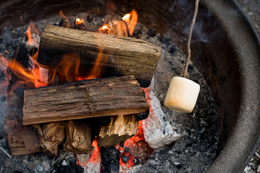 Roasting large marshmallow on a wooden stick over the campfire firepit. Camping family fun