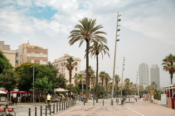 istock Barceloneta area in Barcelona 1409485580