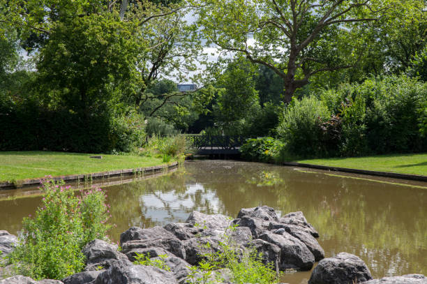 Empty Bridge And Pond At The Oosterpark Amsterdam The Netherlands