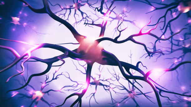 istock Visualization of neurons and neural network with signals 1409491329