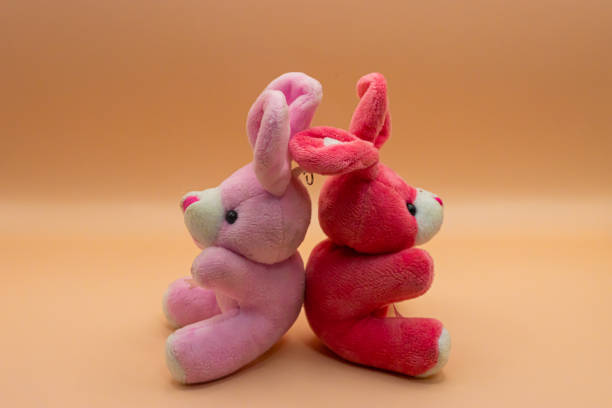 istock Two cute bears red and pink 1409491546