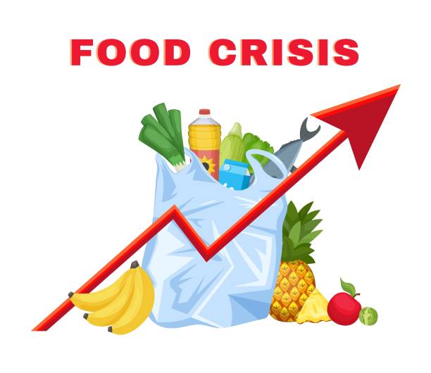 illustrations, cliparts, dessins animés et icônes de crise alimentaire, inflation, concept de faim. illustration vectorielle isolée - scarcity