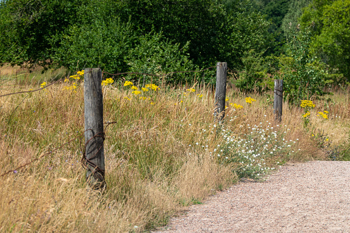 Protected landscape