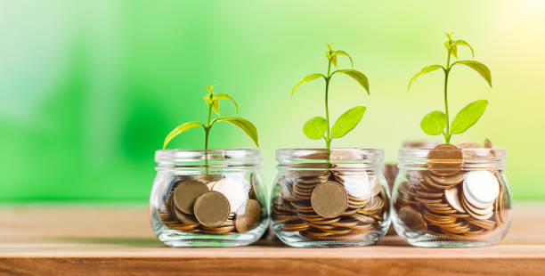 istock Money Coin Stack with growing plant on top 1409495667