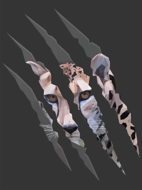 illustrazioni stock, clip art, cartoni animati e icone di tendenza di illustrazione di re ghepardo all'interno dei segni degli artigli - kruger national park illustrations