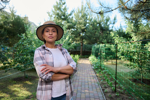 Portrait of a confident Hispanic woman, farmer, gardener, standing by a row of tomato and cucumber seedlings in an organic farm. Horticulturist, agricultural hobby, farmland, agribusiness. Copy space
