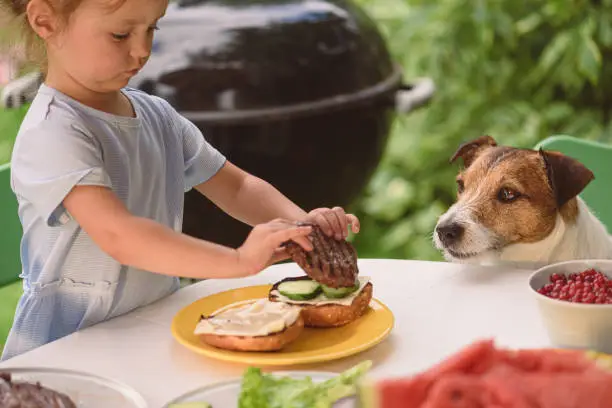 Photo of Dog looking how little girl making burger at BBQ party on sunny summer day