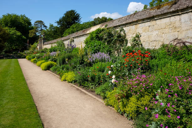 istock Colourful flowers in the garden 1409504062
