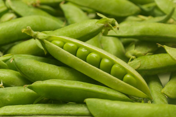 istock Freshly harvested organic green peas on the table 1409504296
