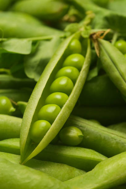 istock Freshly harvested organic green peas on the table 1409504599