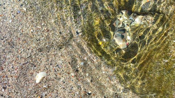istock clear sea water by the beach, white sand and mossy rocks 1409505975