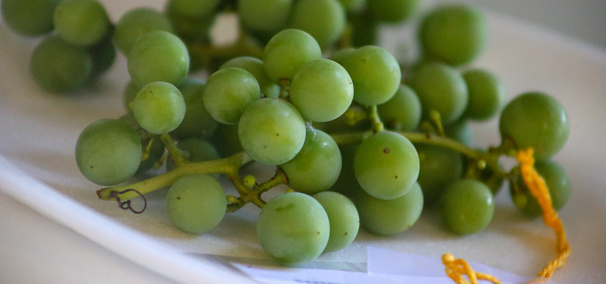 Some fresh grapes.