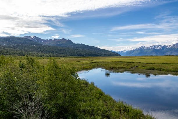 istock Scenic View of Alaska Marsh and Mountains 1409510179