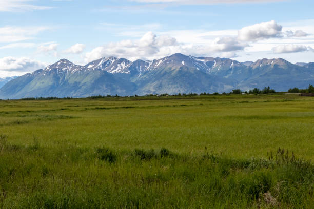istock Mountain Views from Alaska Recreation Area 1409510812