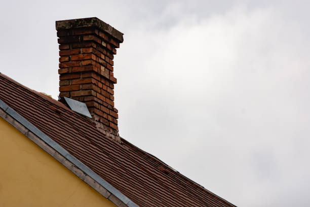 tree branch, chimney, roof and sunlight