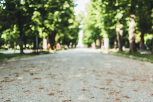 istock Park view in blur with alley 1409511057