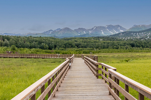 A wooden walkway gives visitors an up-close view of area bird life and the scenic landscape of Potter Marsh near Anchorage, Alaska.
