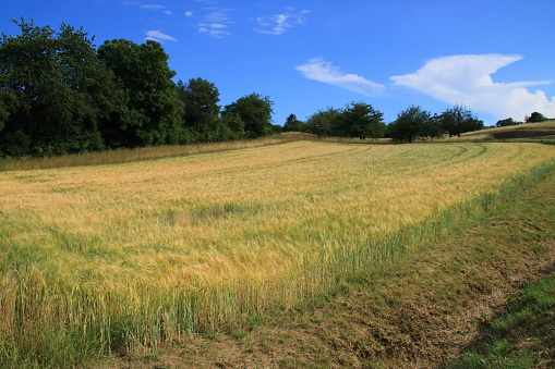 View into the Heckengäu near Weissach