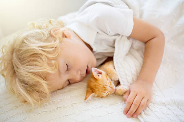 istock Baby boy sleeping with kitten. Child and cat. 1409514384
