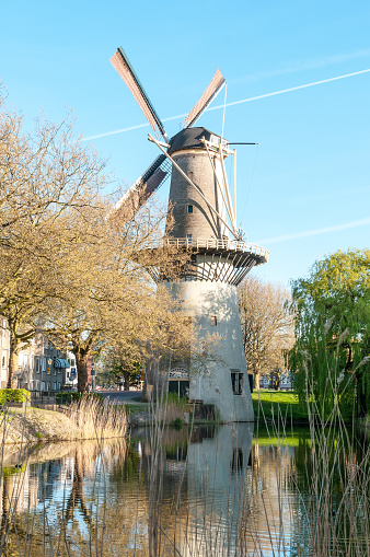 Schiedam mill reflected in water,  in the center of the city of Schiedam in the Netherlands.