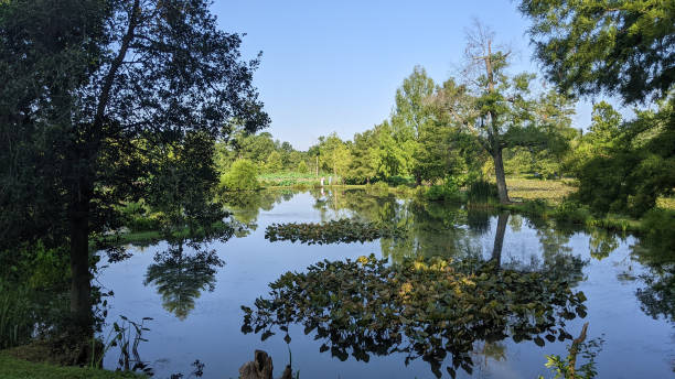 istock Large pond  at  Kenilworth Aquatic Gardens 1409515426