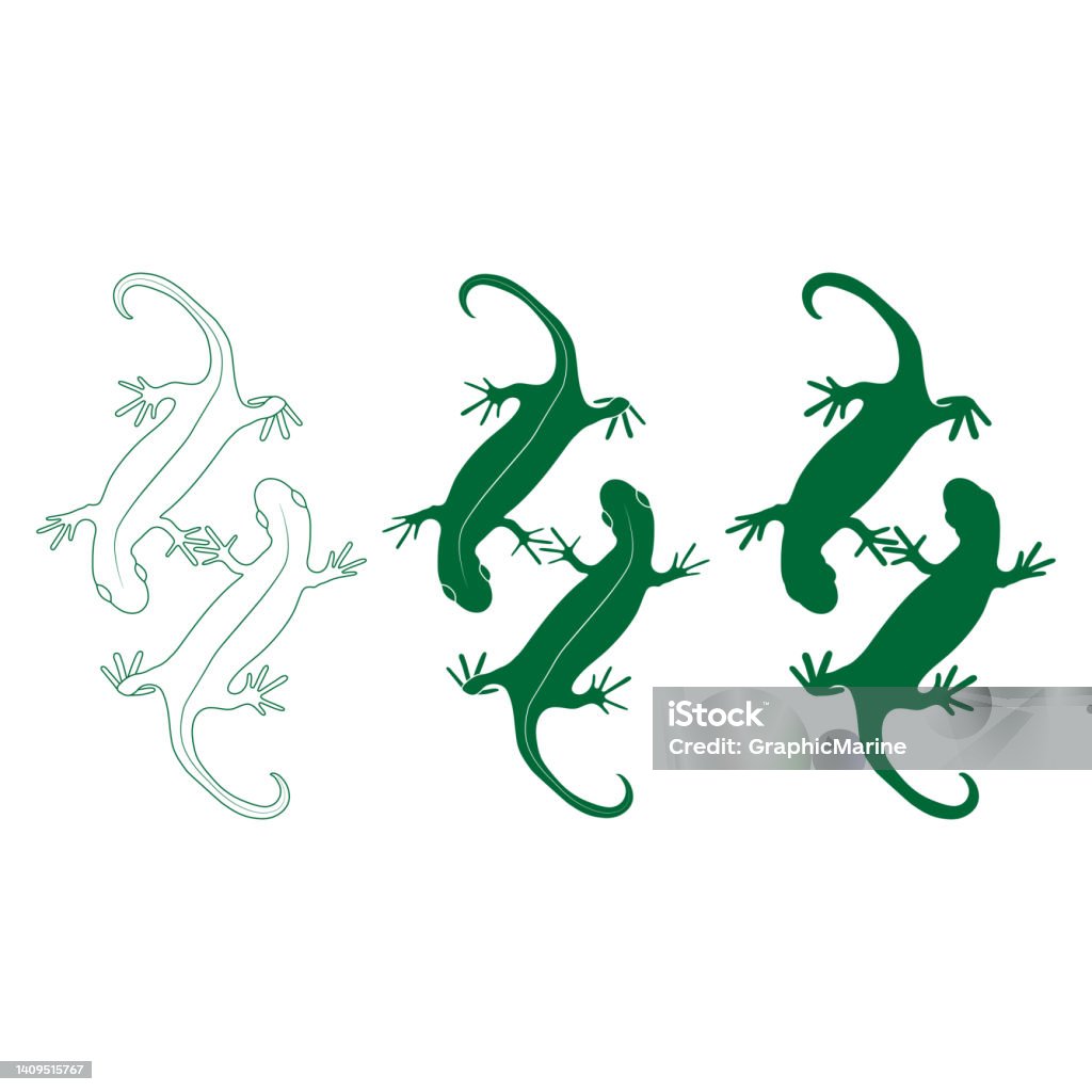 Tập Hợp Các Con Thằn Lằn Bò Sát Tắc Kè Phác Thảo Và Màu Sắc Hình ...