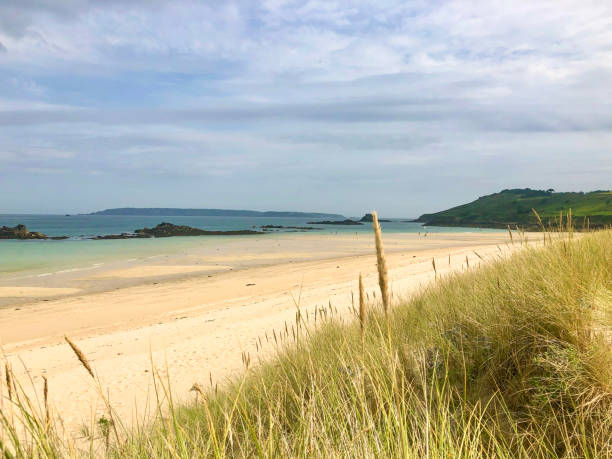 plage de la coquille, herm - herm photos et images de collection