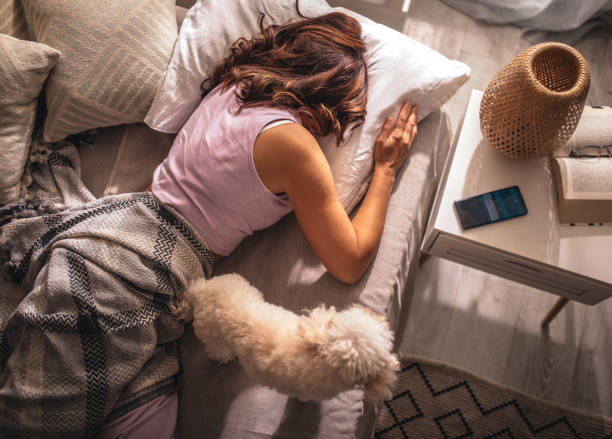 istock Women sleeping with her maltese puppy on bed 1409522131