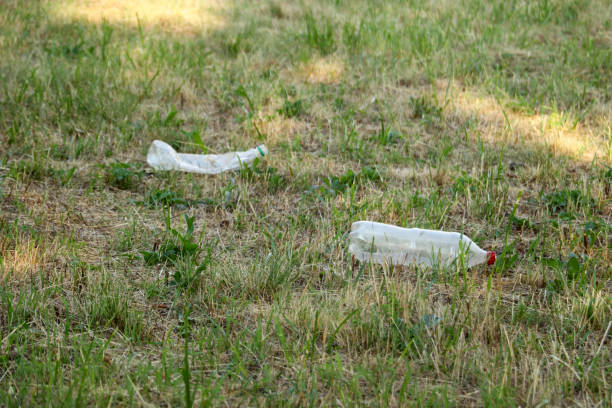 Old plastic bottles on the grass stock photo